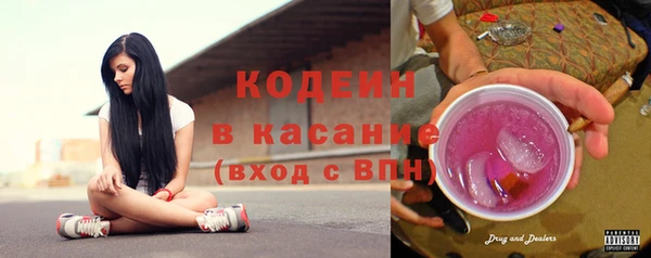 дмт Ельня