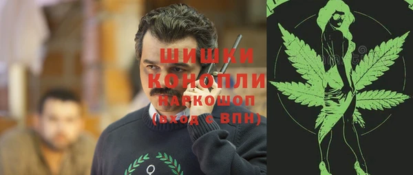 дмт Ельня