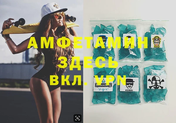 дмт Ельня