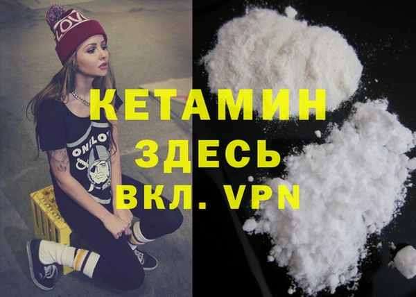 дмт Ельня