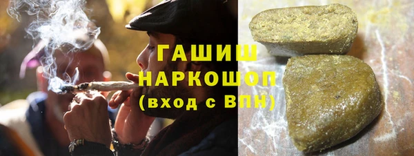 дмт Ельня