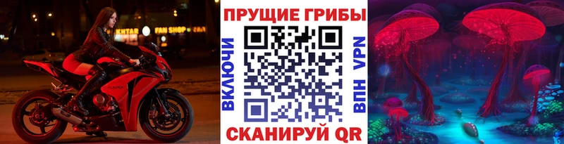 Галлюциногенные грибы GOLDEN TEACHER купить наркотики сайты Радужный