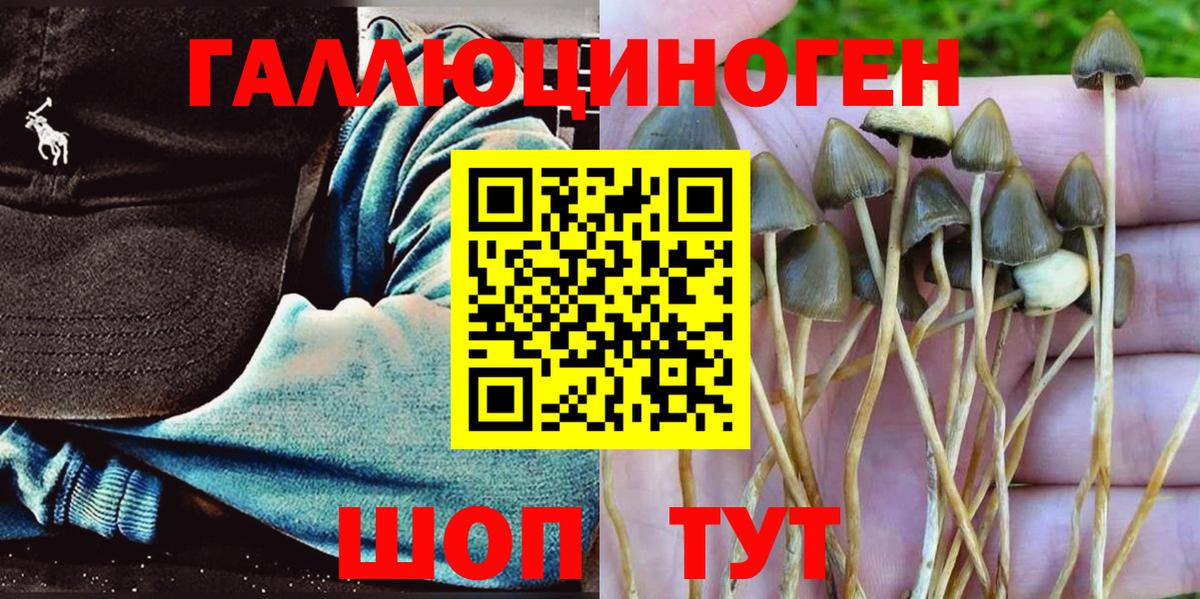 Радужный  Галлюциногенные грибы Psilocybine cubensis  Вход с VPN 